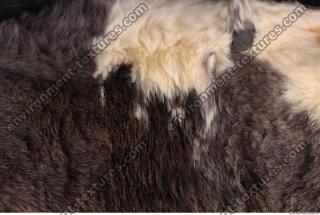 Photo Textures of Fur